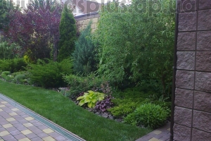 landscape (15)